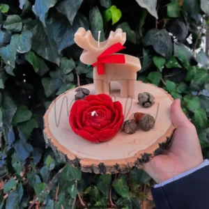 عکس شمع گوزن روی تکه چوبی در دست